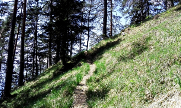 Hiking in Garmisch-Partenkirchen