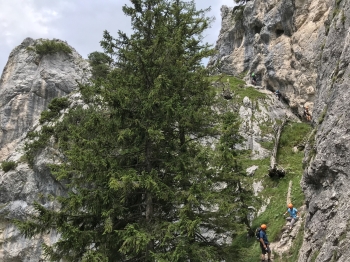 Tegelberg-Klettersteig für sportliche Klettersteig-Einsteiger