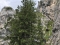 Tegelberg-Klettersteig für sportliche Klettersteig-Einsteiger