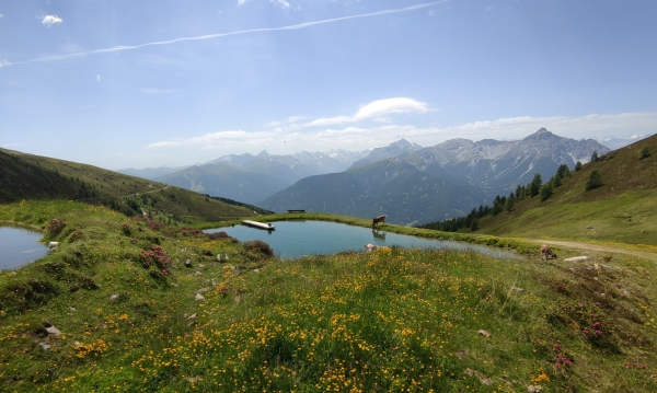 Geführte Mountainbiketour - Sunnseitn-Trail im Wipptal