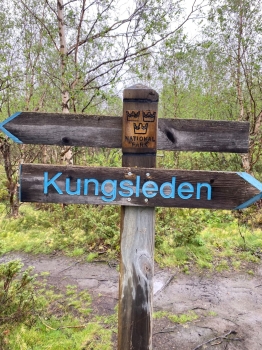 Geführte Trekkingtour auf dem Kungsleden in Lappland (8 Tage)