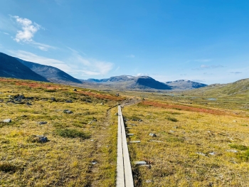 Geführte Trekkingtour auf dem Kungsleden in Nord-Schweden (8 Tage)