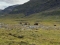Geführte Trekkingtour auf dem Kungsleden in Nord-Schweden (8 Tage)