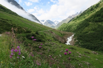 Gletscherkurs & Hochtourenkurs für Einsteiger an der Wildspitze vom 20.06 - 23.06.2024