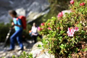 Hiking tour onto Zugspitze (2962m) via Reintal 20.07 - 21.07.2024