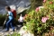 Hiking tour onto Zugspitze (2962m) via Reintal 20.07 - 21.07.2024