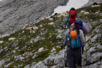 Hiking tour onto Zugspitze (2962m) via Reintal 22.08 - 23.08.2024