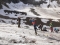 Gletscherkurs & Hochtouren-Basiskurs im Kaunertal (3 Tage)