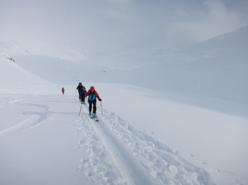 Skitouring course at the Heidelberger Hütte (4 days) 13.03 - 16.03.2025