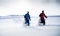Schneeschuhwanderung auf der Zugspitze am 16.03.2025