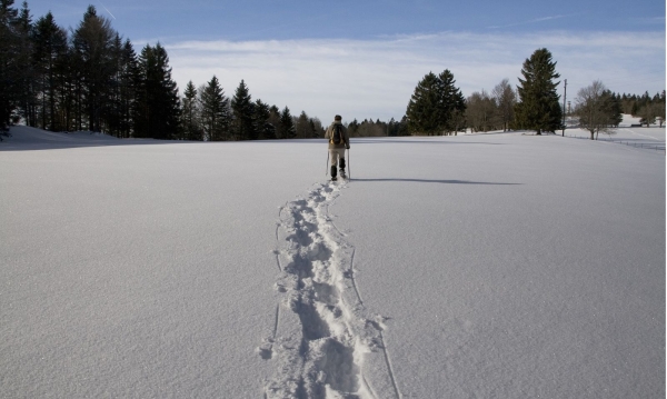 LVS course for snowshoe hikers