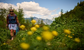 Achtsames Wandern - Wandern mit allen Sinnen (1 Tag)