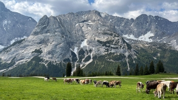 Hiking tour via Gatterl onto the Zugspitze (2 days)