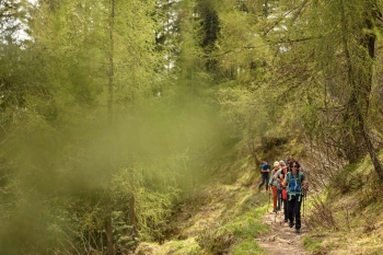 Achtsames Wandern - Wandern mit allen Sinnen am 26.09.2026