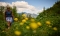 Achtsames Wandern - Wandern mit allen Sinnen am 26.09.2026