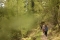 Achtsames Wandern - Wandern mit allen Sinnen am 26.09.2026