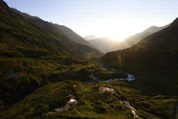 Alpine Crossing with Dog – From Garmisch to Merano