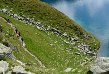 Alpine Crossing with Dog – From Garmisch to Merano
