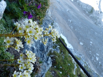 Eisenzeit - - the new "old tour" to the Zugspitze 05.09.2026