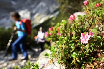 Auf die Zugspitze über das Reintal vom 05.09 - 06.09.2026