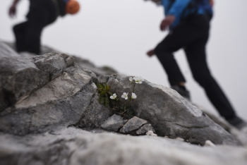 Auf die Zugspitze über das Reintal vom 05.09 - 06.09.2026