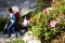 Auf die Zugspitze über das Reintal vom 05.09 - 06.09.2026