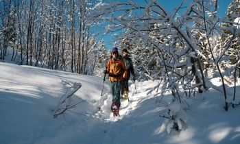 Schneeschuhwanderung zum Seebensee in Ehrwald