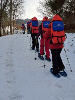 Winter Bachelor Party – Snowshoe Hike & Toboggan Fun near Garmisch