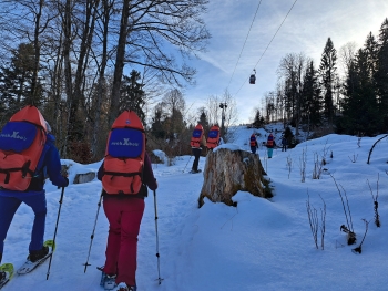 Winter Bachelor Party – Snowshoe Hike & Toboggan Fun near Garmisch